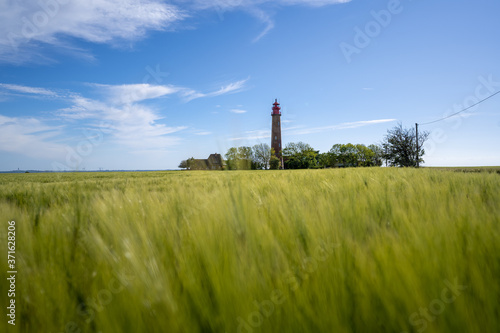 Fototapeta Naklejka Na Ścianę i Meble -  The Summer on the island of Fehmarn. Bike Tour to the Lighthouse Flügge, a local landmark at the baltic coast.