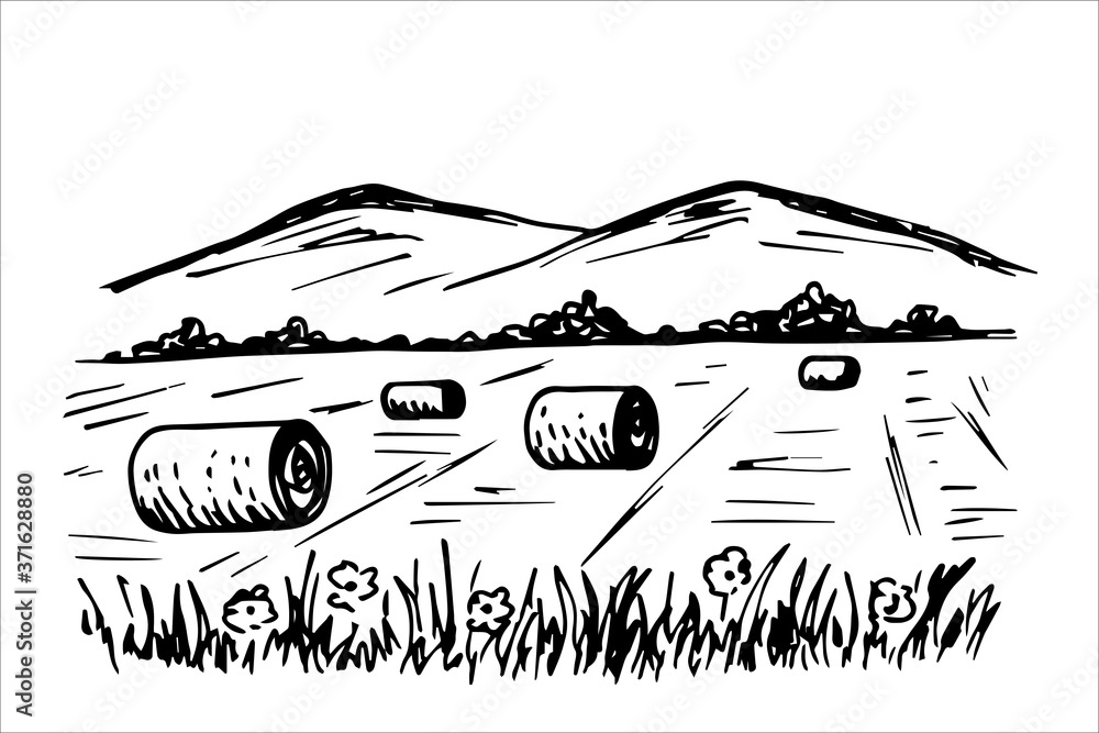Naklejka premium Classic European landscape, round bales of haystacks, straw in the field. Mountains on the horizon, grass and flowers in the foreground. Vector black and white freehand drawing in engraving style.