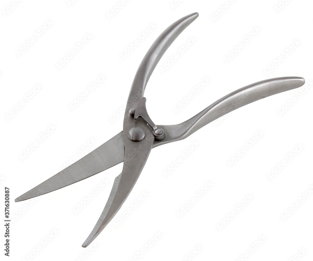 Metallic Chicken scissors for cooking. Open. Isolated on white background. It's a kitchen tool. We can slice meat. Metallic Chicken scissors for cooking. Open. Isolated on white background. It's a kitchen tool. We can slice meat.