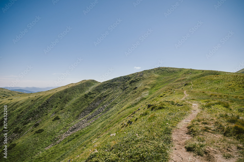 Naklejka premium A sign on the side of a hill