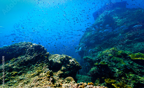 Beautiful underwater reef and landscape © Johan
