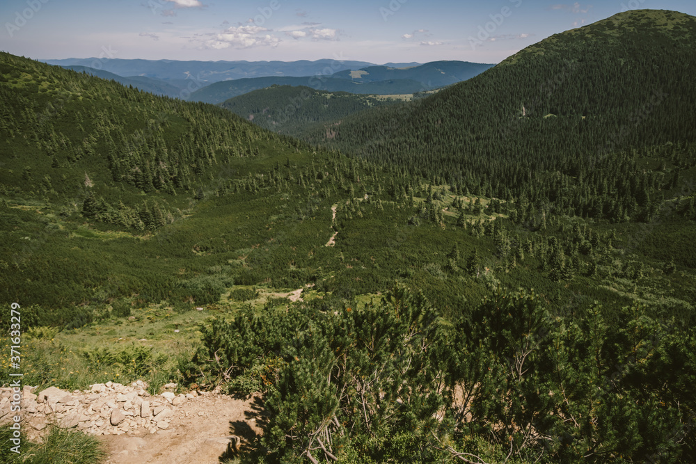 Naklejka premium A sign on the side of a mountain