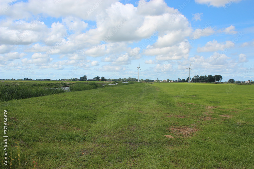 Beautiful blue sky over a Dutch meadow with forest edge. Beautiful blue sky over a Dutch meadow with forest edge.