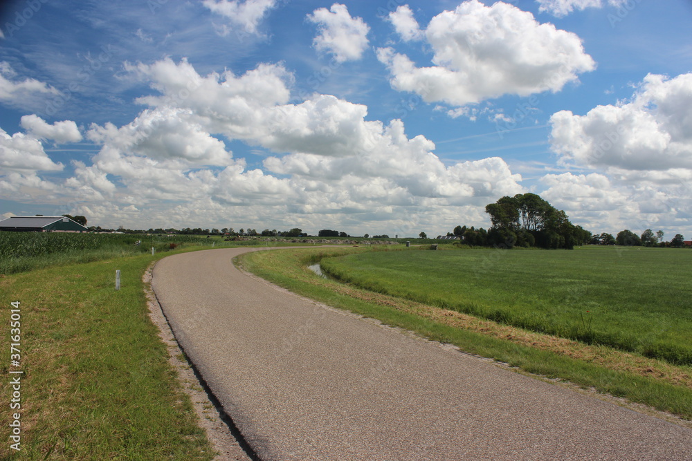 Fototapeta premium A small country road through the green Dutch meadows in the summer with a blue sky and beautiful clouds.
