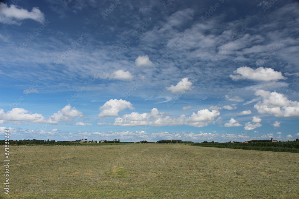 Beautiful blue sky over a Dutch meadow with forest edge.