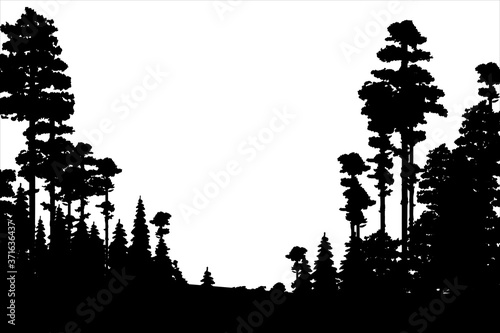 Black silhouettes of north forest black and white