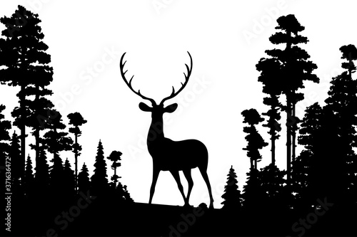 Black silhouettes of north forest. Deer and trees black and white © Julia