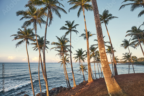 Coconut palm trees at sunset  color toned picture  summer vacation concept.