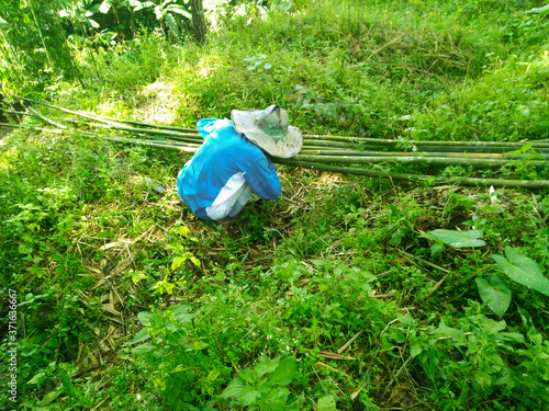 watering the garden