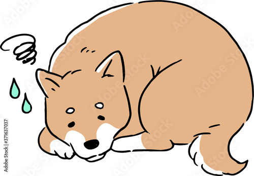 体調不良で元気がない柴犬の線画イラスト