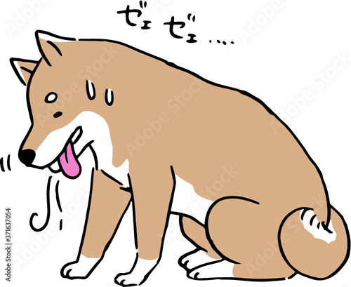 フィラリア（犬糸状虫）に寄生され息切れしている柴犬の線画イラスト