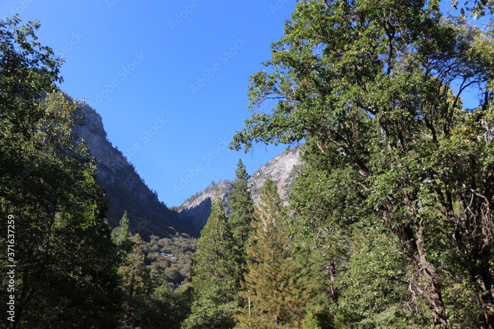 Views of Yosemite National Park 