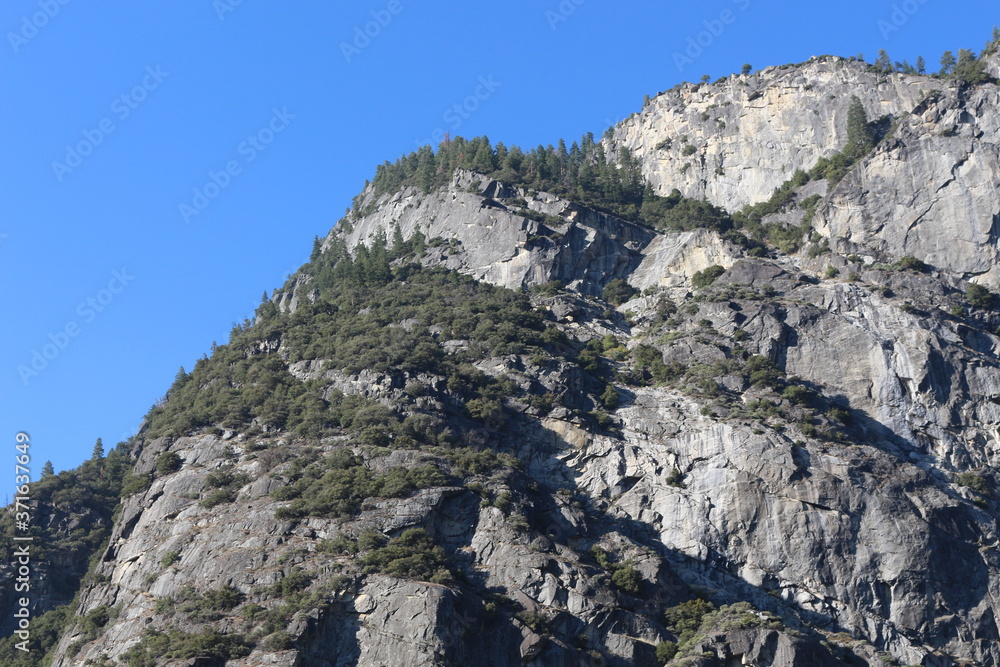 Views of Yosemite National Park 
