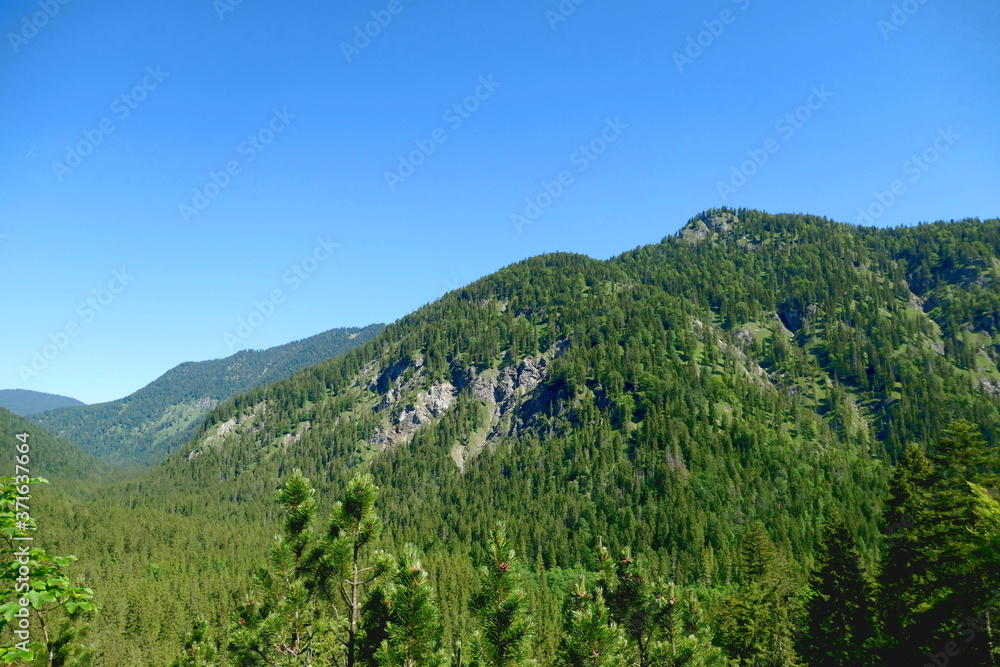mounatian scenery in the bavarian alps, close to halserspitz, wildbad kreuth, tegernsee, bavaria