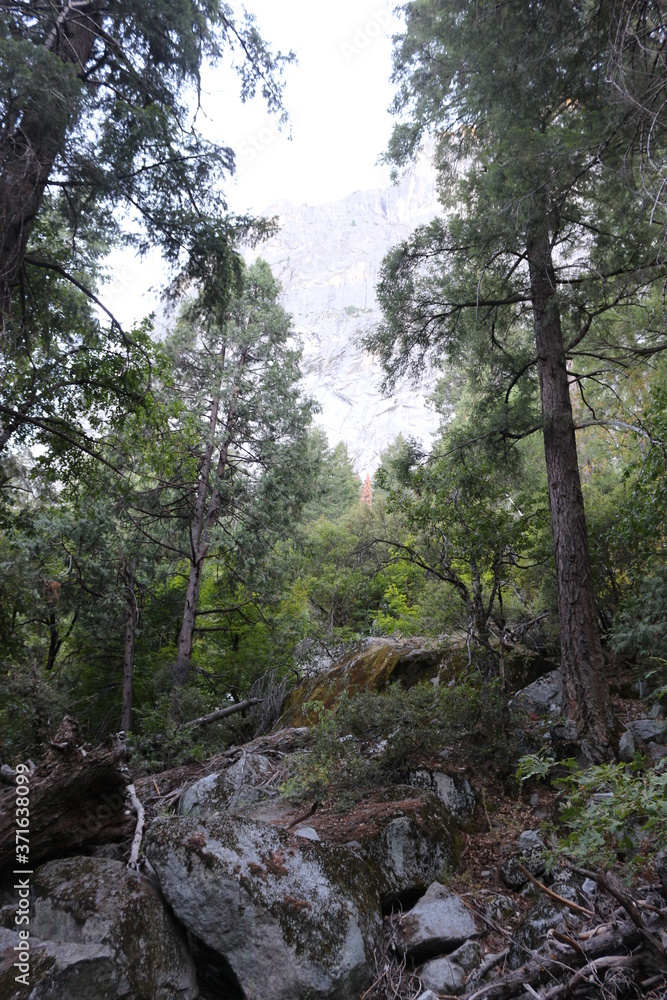 Views of Yosemite National Park 