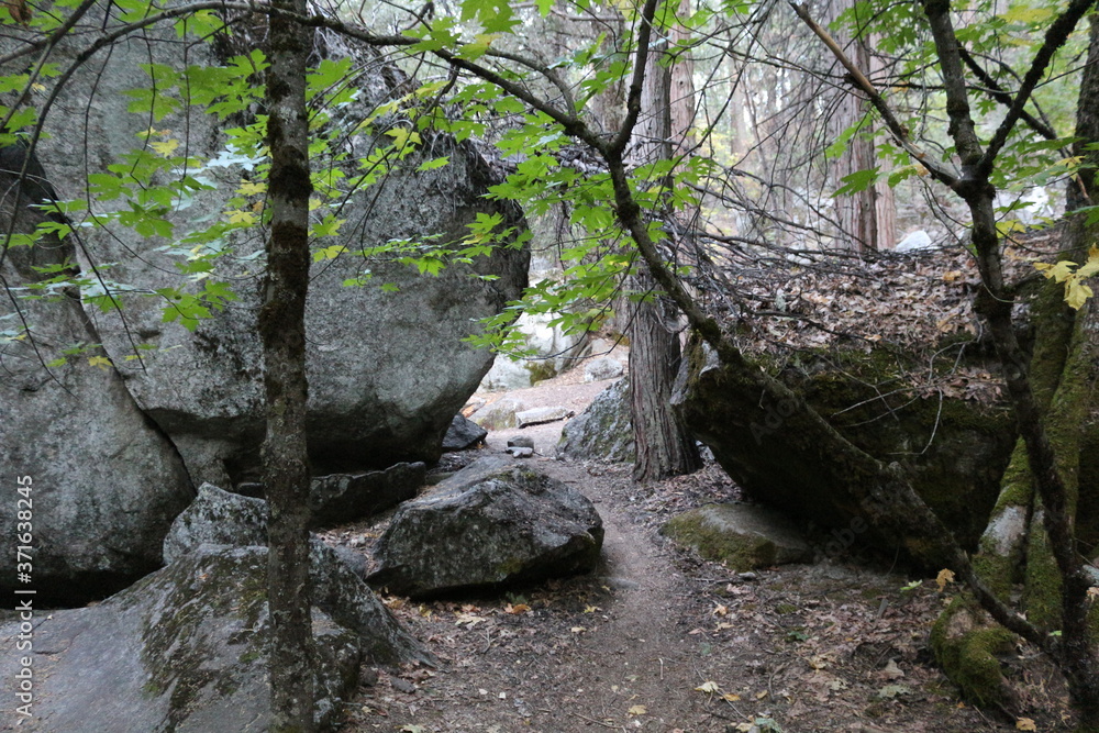 Obraz premium Views of Yosemite National Park 