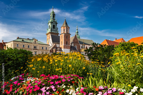 Katedra Wawelska. Wzgórze Wawelskie. Wawel. Kwiaty
