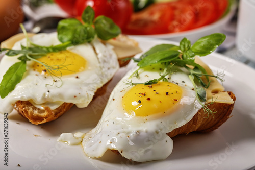 Close-up of fried eggs with spices, fresh basil and herbs on a white plate. Morning food still life. Tasty breakfast