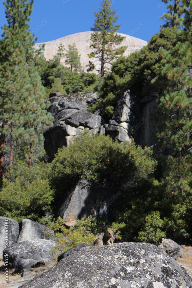 Views of Yosemite National Park while hiking to Half Dome Views of Yosemite National Park while hiking to Half Dome