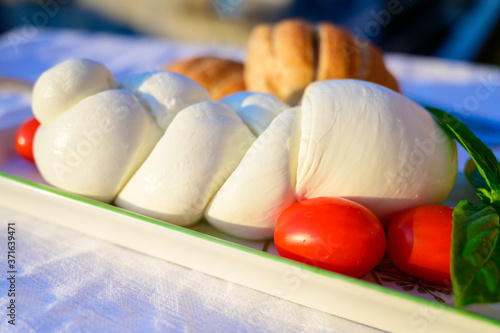 Fresh soft white italian cheese braid mozzarella buffalo made from Italian buffalo's milk by pasta filata method photo