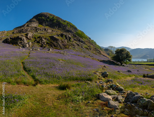 view of the mountains