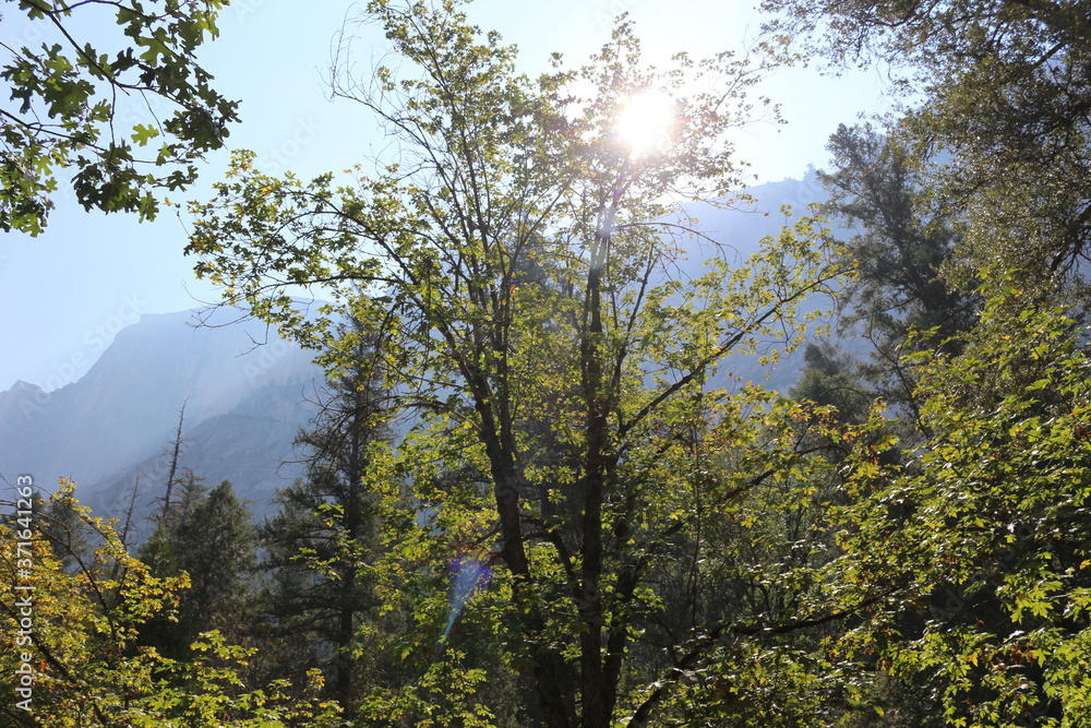 Views of Yosemite National Park while hiking to Half Dome Views of Yosemite National Park while hiking to Half Dome