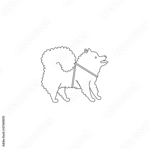 Funny line style icon of pomeranian spitz for different design. Cute family dog for coloring book.