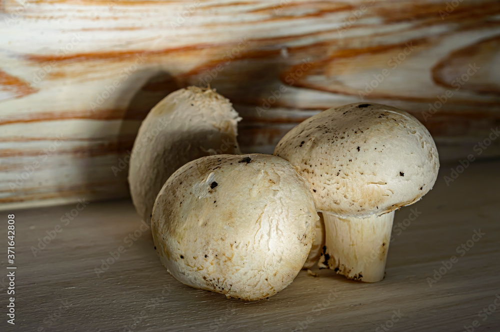 organic natural fresh mushrooms mushrooms close up organic natural fresh mushrooms mushrooms close up