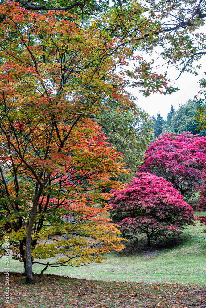 Naklejka premium Autumn Colours