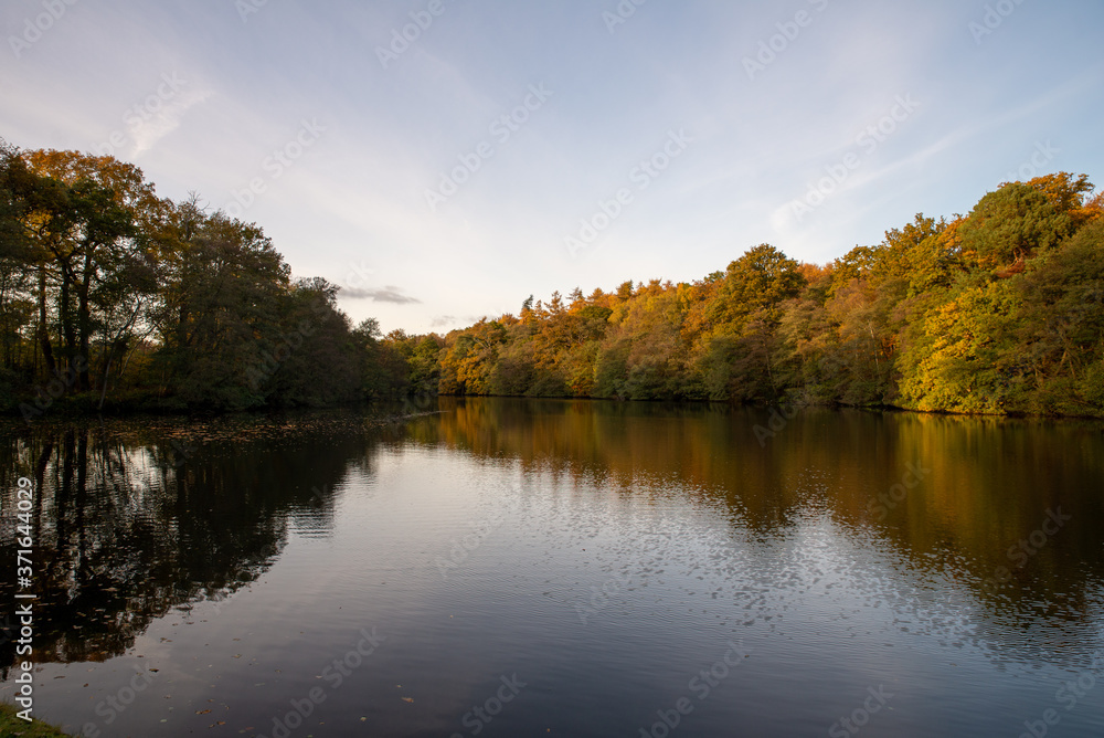 Autumn Colours