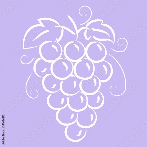 Line drawing style grape cartoon