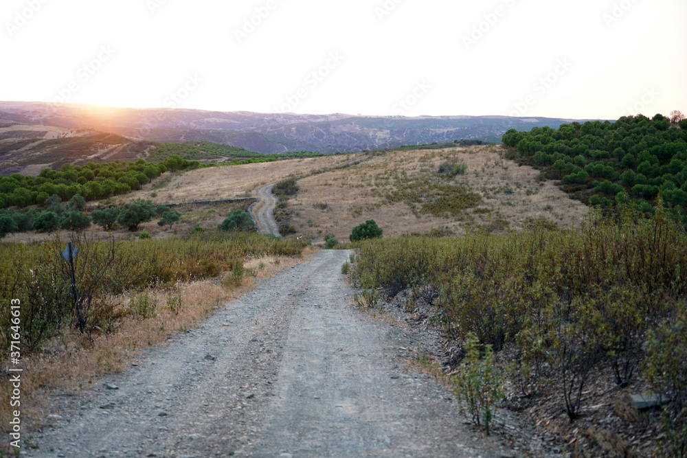 Arid landscape in Portugal's Alantejo photographed in summer