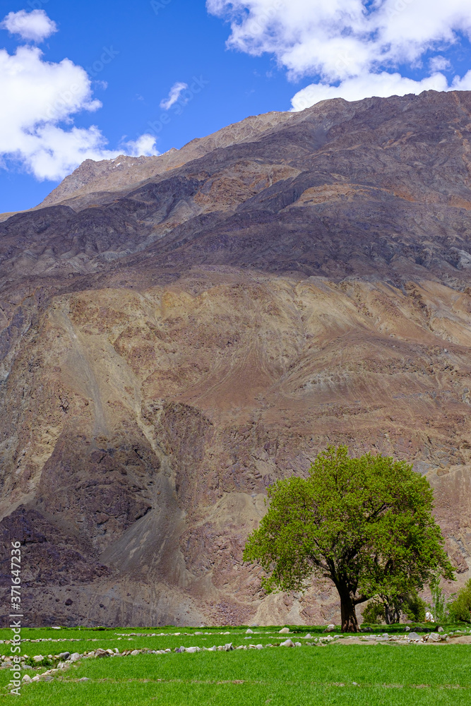 Turtuk village is the last outpost of India Stock Photo | Adobe Stock