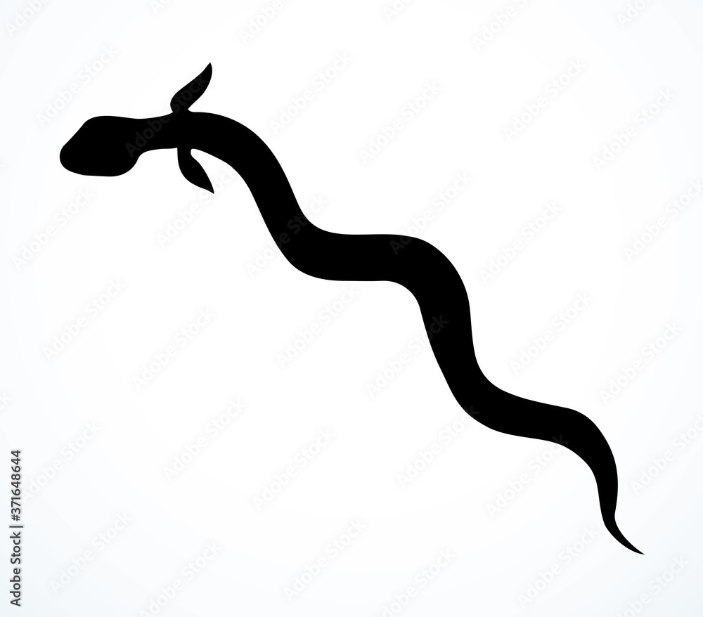 Fototapeta premium Eel. Vector drawing. Sea fish icon
