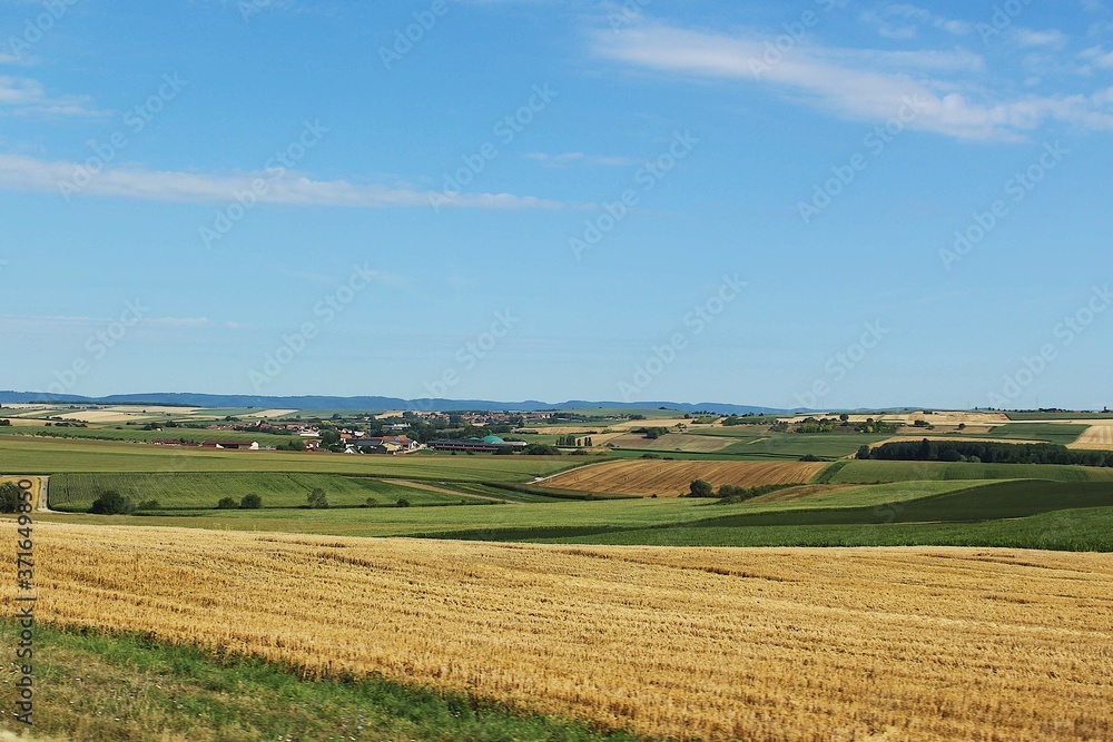 French fields.