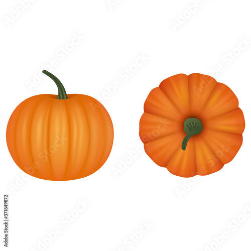 Isolated pumpkins vector . Top and side view