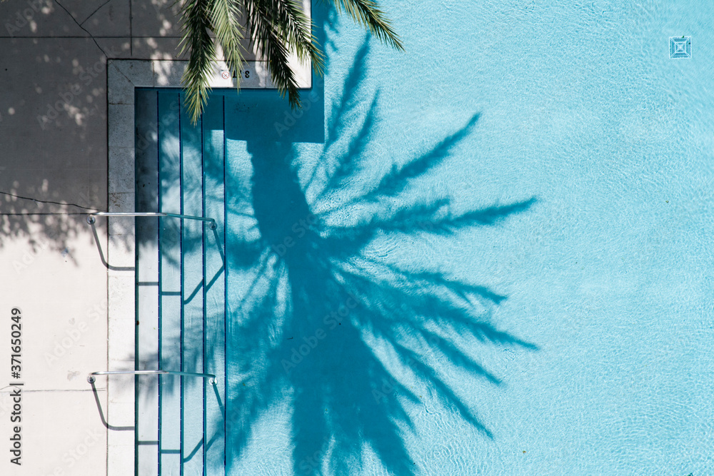 Naklejka premium Palm Tree Shadow Over Pool