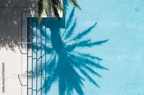 Palm Tree Shadow Over Pool