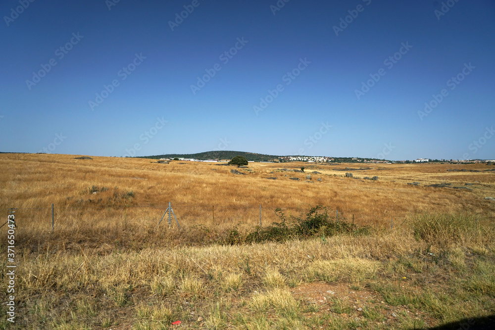 Arid landscape in Portugal's Alantejo photographed in summer Arid landscape in Portugal's Alantejo photographed in summer