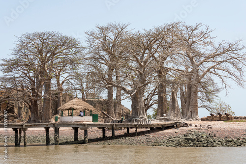 La Isla James o Kunta Kinteh Island, en Gambia photo