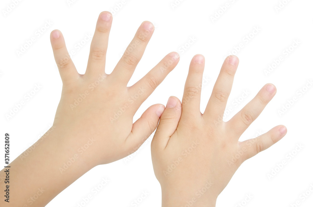 Child hands on a white background without a shadow. Child hands on a white background without a shadow.