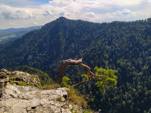 hiker in the mountains