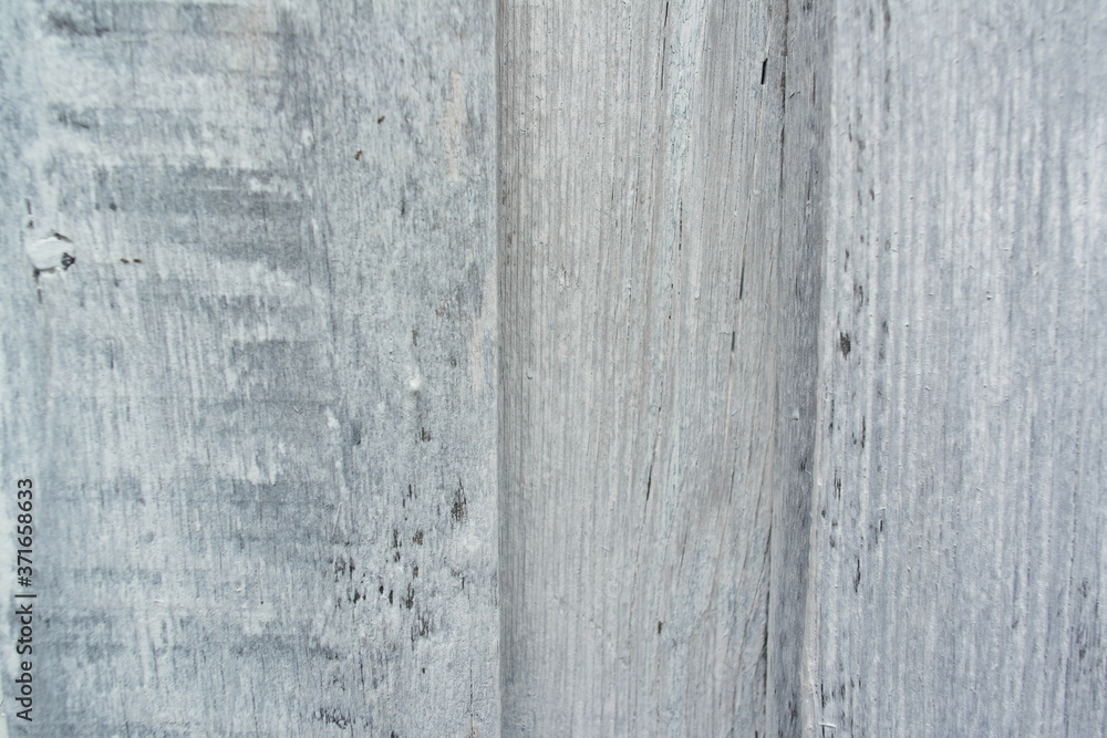 Obraz premium Grey texture background cement