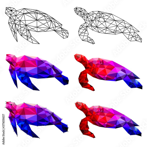 Set of turtle polygon geometric. Vector illustration.