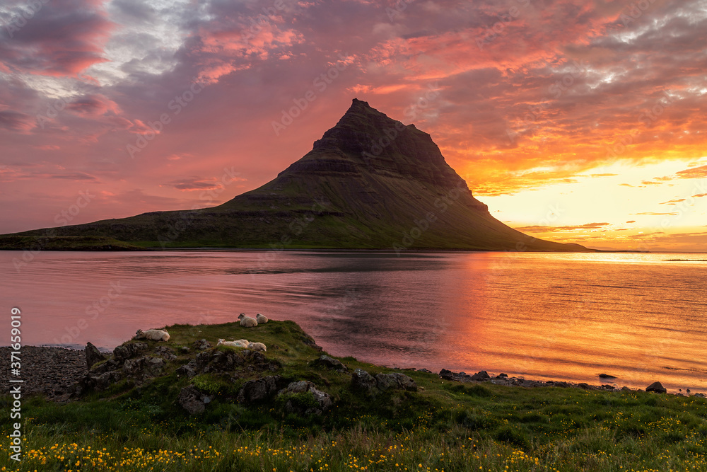 Kirkjufell Mountain in Iceland at sunset with sheep in the foreground