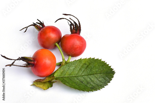 Red rose hips lie on a white table.