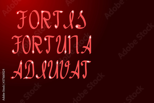 "Fortis fortuna adiuvat" a saying meaning "Fortune loves the bold"  inscription in Latin letters with a brush different thickness red and glowing stars. Vector illustration.