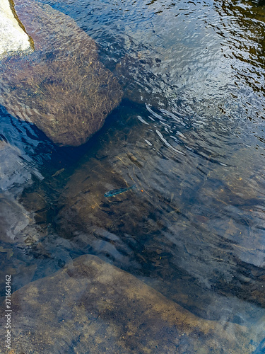 ripples in the water