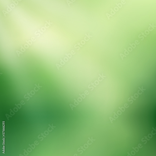 Abstract green blurred background with sunlight rays. Nature gradient backdrop. Vector illustration. Ecology concept for your graphic design, banner or poster.