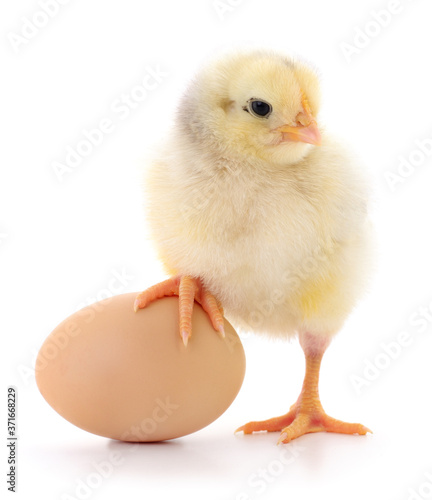 Chicken and egg.